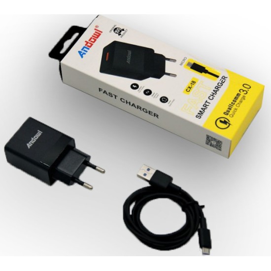 Andowl micro USB Cable & 2x USB Wall Adapter Μαύρο (CX-17)