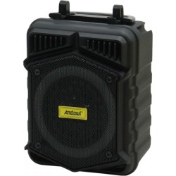 Ηχείο Bluetooth 3W με Ραδιόφωνο & 9 ώρες Λειτουργίας Andowl Q-YX2135 (Μαύρο)