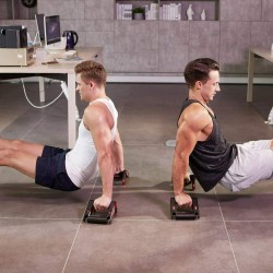 Ρόδα Κοιλιακών και Push Ups