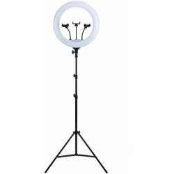 Ring Light YQ-460B 43cm 3200-5600K με Τρίποδο Δαπέδου και Βάση για Κινητό