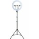 Ring Light YQ-460B 43cm 3200-5600K με Τρίποδο Δαπέδου και Βάση για Κινητό Ring Light YQ-460B 43cm 3200-5600K με Τρίποδο Δαπέδου και Βάση για Κινητό