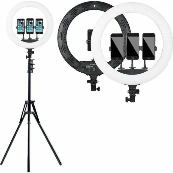 Ring Light YQ-460B 43cm 3200-5600K με Τρίποδο Δαπέδου και Βάση για Κινητό Ring Light YQ-460B 43cm 3200-5600K με Τρίποδο Δαπέδου και Βάση για Κινητό