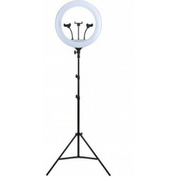 Ring Light YQ-460B 43cm 3200-5600K με Τρίποδο Δαπέδου και Βάση για Κινητό