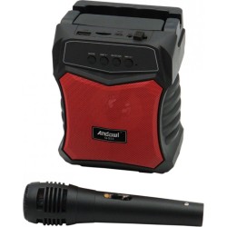 Andowl Σύστημα Karaoke με Ενσύρματo Μικρόφωνo Q-S53 σε Μαύρο Χρώμα