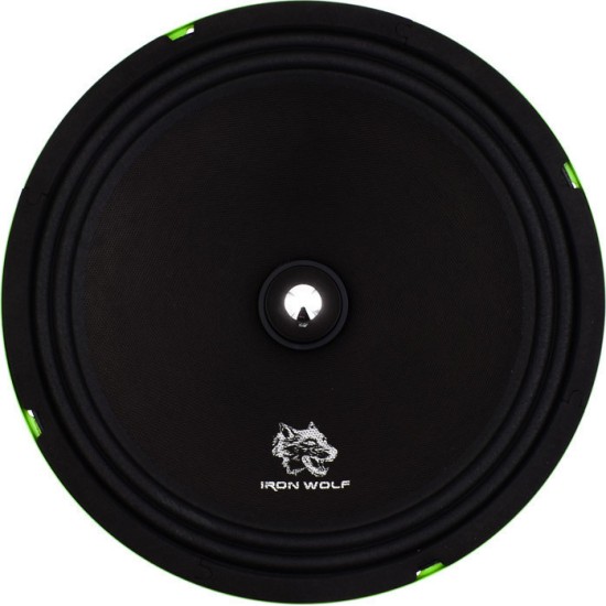 Ηχείο Αυτοκινήτου CTC-1005A 10" με 800W RMS (Midrange)