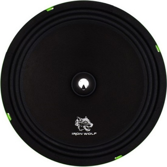 Ηχείο Αυτοκινήτου CTC-1005A 10" με 800W RMS (Midrange)