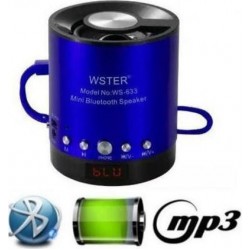WSTER FM Mini Bluetooth Speaker WS-633BT 5V With TF Slot Mp3 & Οθόνη Blue