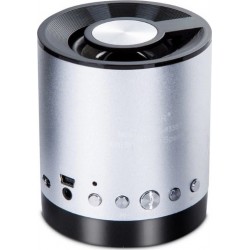 WSTER FM Mini Bluetooth Speaker WS-633BT 5V With TF Slot Mp3 & Οθόνη Silver