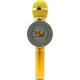 Ασύρματο Bluetooth Mικρόφωνο KARAOKE Hχείο Mp3 Player WSTER - Disco Light Microphone WS-668 Gold Ασύρματο Bluetooth Mικρόφωνο KARAOKE Hχείο Mp3 Player WSTER - Disco Light Microphone WS-668 Gold