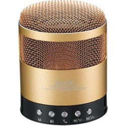 Μini bluetooth ηχείο WS-851 Χρυσό