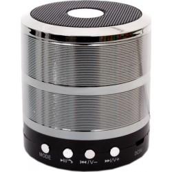 Bluetooth Ηχείο Mp3 Player & FM WS-887 Ασημί