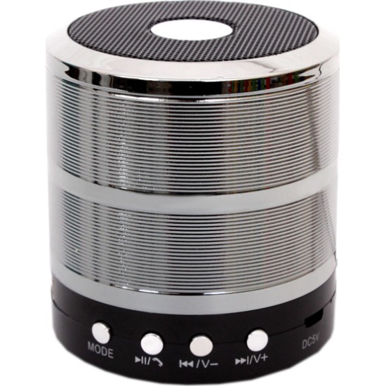 Bluetooth Ηχείο Mp3 Player & FM WS-887 Ασημί