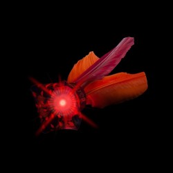 Waboba Flyer with Led