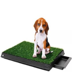 Nunbell Pet Εκπαιδευτική Τουαλέτα Σκύλου 51x63cm