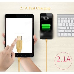 Καλώδιο USB REMAX Radiance RC-041 (ANDROID) Gold