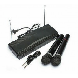Συσκευή με Δύο Ασύρματα Μικρόφωνα για Karaoke - Wireless AT-306