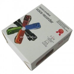 Mini DV Voice Recorder & Spy Camera