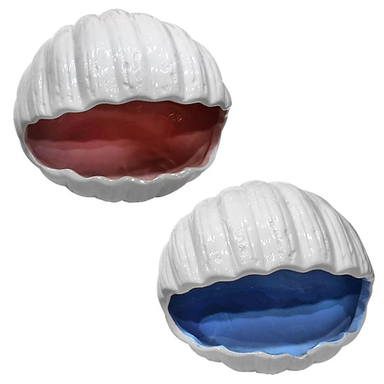 Όστρακο κοχύλι διακοσμητικό 15x12x11cm Homie 423033