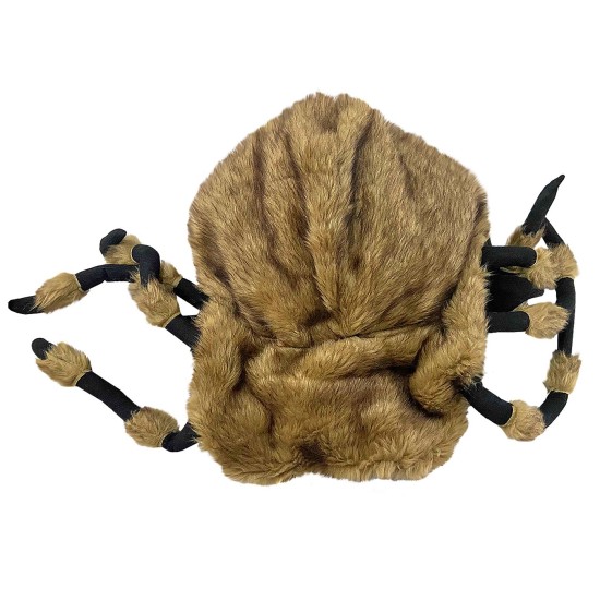 ΑΡΑΧΝΗ ΛΟΥΤΡΙΝΟ HALLOWEEN ΣΤΟΛΗ PET 50cm Carnavalista 232360 ΑΡΑΧΝΗ ΛΟΥΤΡΙΝΟ HALLOWEEN ΣΤΟΛΗ PET 50cm Carnavalista 232360