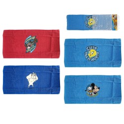 Πετσέτα Looney 30x25cm Homie 1011116