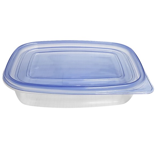 Δοχείο τροφίμων πλαστικό μπλε 1l 22x16,5x5cm 1L Homie 101706