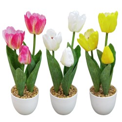 Γλαστράκι 3 Τουλίπες 34cm Homie 423123