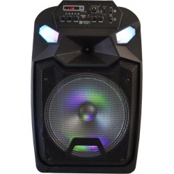 Φορητό Ασύρματο Karaoke/BT/USB/SD/TF/FM Ράδιο QS-1203