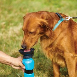 ΜΠΟΥΚΑΛΙ ΝΕΡΟΥ ΓΙΑ ΚΑΤΟΙΚΙΔΙΑ 500ML - AQUA DOG OEM