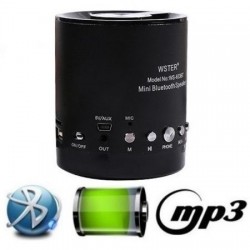 WSTER FM Mini Bluetooth Speaker WS-633BT 5V With TF Slot Mp3 & Οθόνη Black