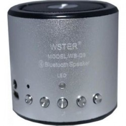 WSTER FM Mini Bluetooth Speaker WS-633BT 5V With TF Slot Mp3 & Οθόνη Black