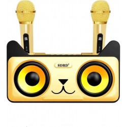 Συσκευή Karaoke με 2 Ασύρματα Μικρόφωνα & Bluetooth SDRD SD-305 - Χρυσό