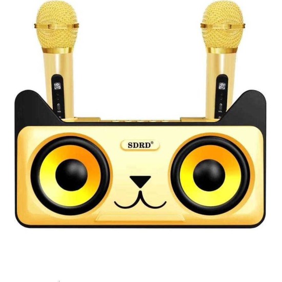 Συσκευή Karaoke με 2 Ασύρματα Μικρόφωνα & Bluetooth SDRD SD-305 - Χρυσό