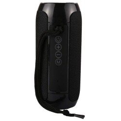 TG117 Portable Bluetooth Stereo Speaker with Built-in MIC, Support Hands-free Calls & TF Card & AUX IN & FM, Bluetooth Distance: 10m(Black)