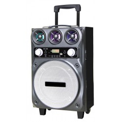 Φορητό Ηχοσύστημα Trolley BK-1001 10" 30W Μαύρο με Θύρα Micro SD,USB, Bluetooth και Μικρόφωνο Karaoke